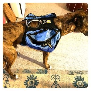 Ruffwear Dog pack